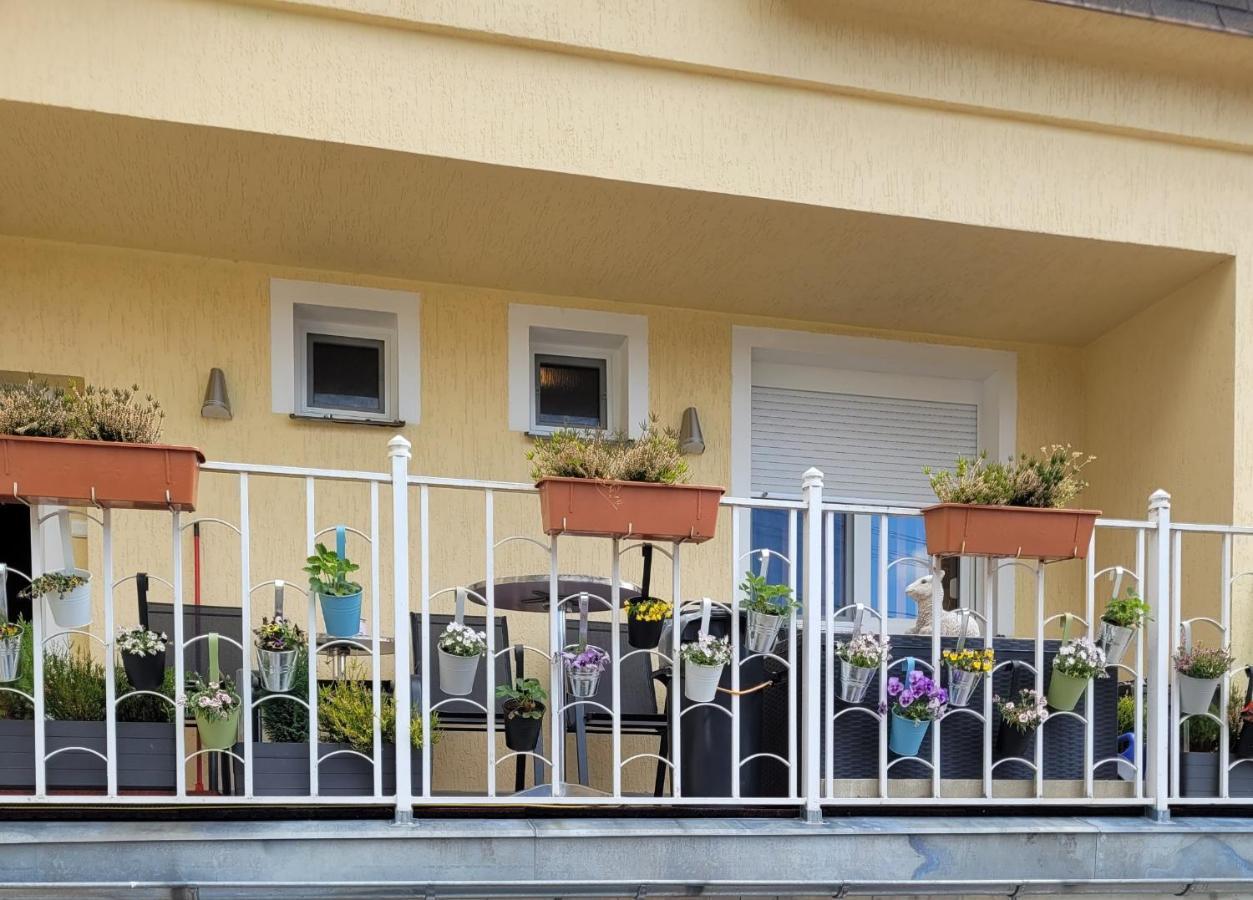 Pension Relax U Komina Františkovy Lázně Exterior foto